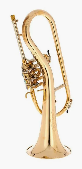 Schagerl Killerqueen "Z" Flugelhorn UL, vue 3