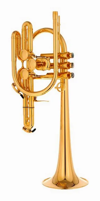 Schagerl Raweni Bb-Trumpet GP, vue 2