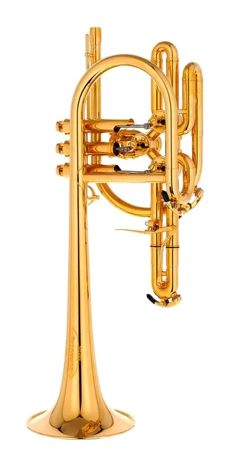 Schagerl Raweni Bb-Trumpet GP, vue 3