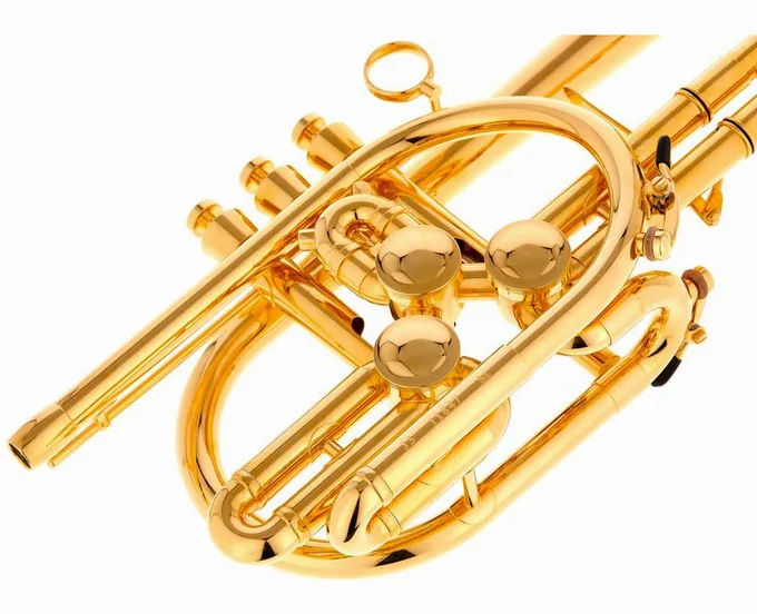 Schagerl Raweni Bb-Trumpet GP, vue 4