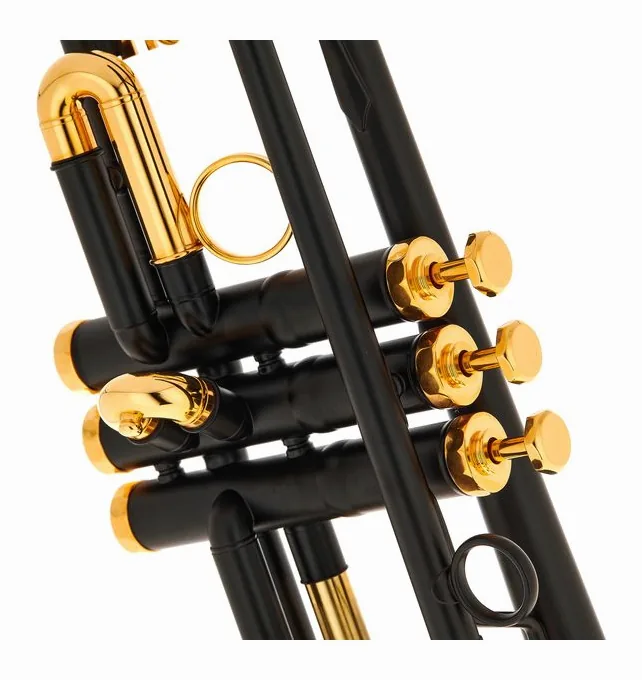 Schagerl Signature Timmy Trumpet LE, vue 4
