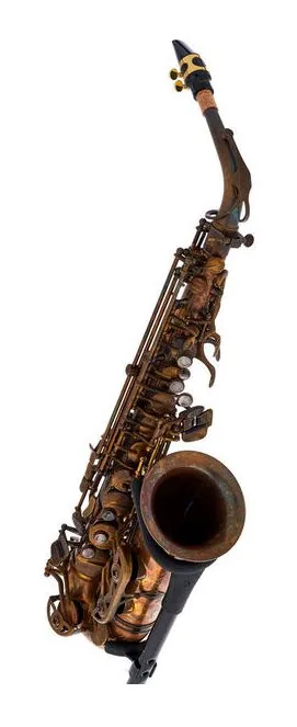 Schagerl A-1VB Superior Alto Sax, vue 3
