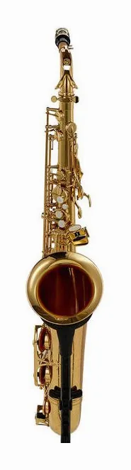 Schagerl Superior Tenor Sax T-1L, vue 2