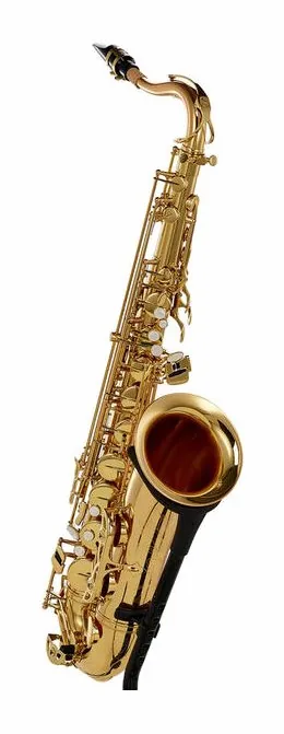 Schagerl Superior Tenor Sax T-1L, vue 3