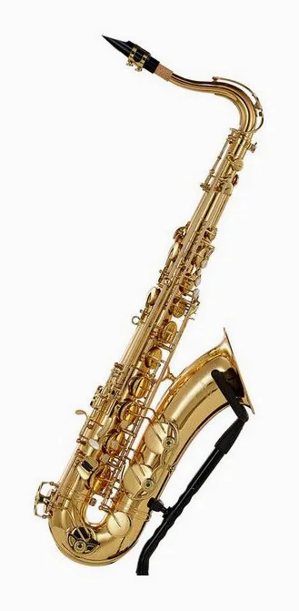 Schagerl Superior Tenor Sax T-1L, vue 4