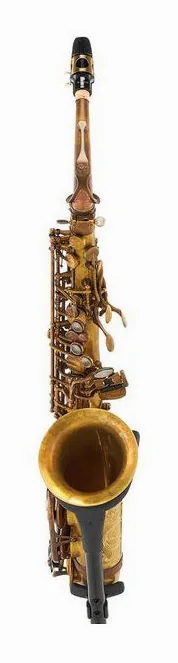 Schagerl A-2V SuperiorPro Alto Sax, vue 2
