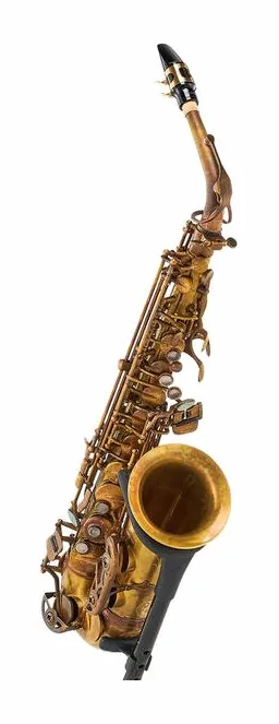Schagerl A-2V SuperiorPro Alto Sax, vue 3