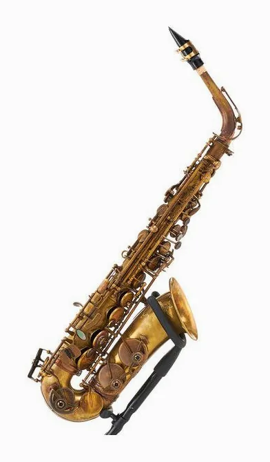 Schagerl A-2V SuperiorPro Alto Sax, vue 4