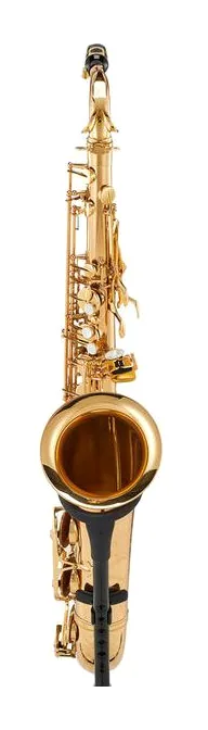 Schagerl SuperiorPro Tenor Sax T-2L, vue 2