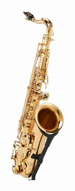 Schagerl SuperiorPro Tenor Sax T-2L, vue 3