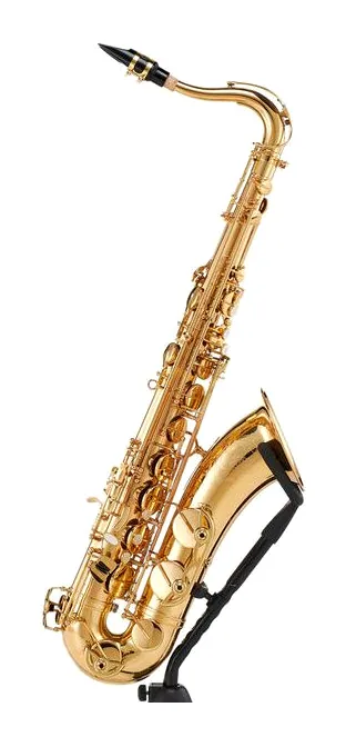 Schagerl SuperiorPro Tenor Sax T-2L, vue 4