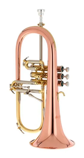 Schilke 1041 FLC Bb- Flugelhorn, vue 2
