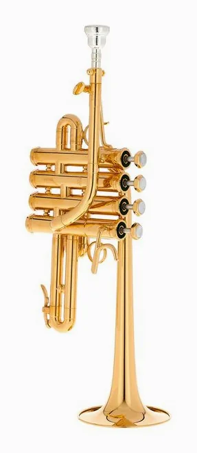 Schilke P5-4 Butler/Geyer Gold, vue 2