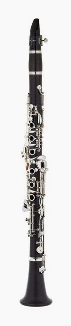 Schreiber D-45 Virtuoso Bb-Clarinet, vue 2
