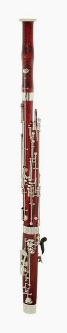 Schreiber WS5016-2-0 Bassoon, vue 2