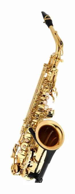 Selmer SE-A2L Goldlac SA80 II AltoSax, vue 3
