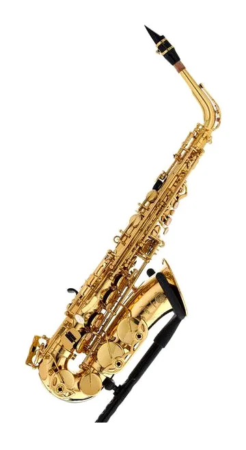 Selmer Axos Alto Sax, vue 4