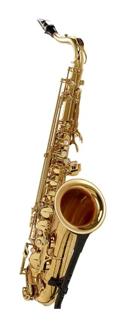 Selmer Axos Tenor Sax, vue 3