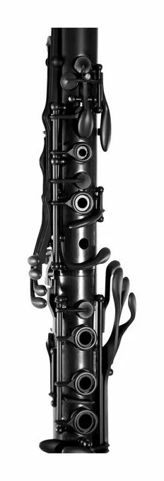 Selmer Privilege Bb-Clarinet 18/6 BK, vue 2