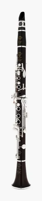 Selmer Récital Evo Bb-Clarinet 18/6, vue 2