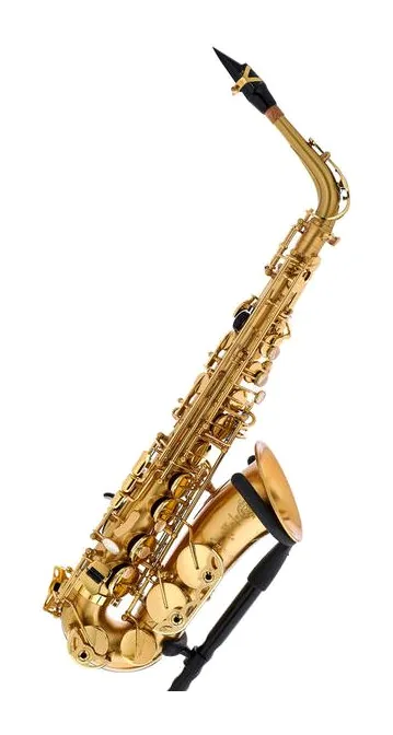 Selmer SE-A2M Matt SA80 II Alto Sax, vue 4