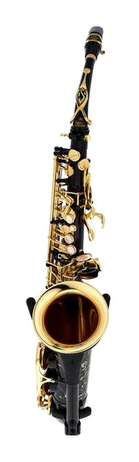Selmer SE-A2B Black Alto Sax, vue 2