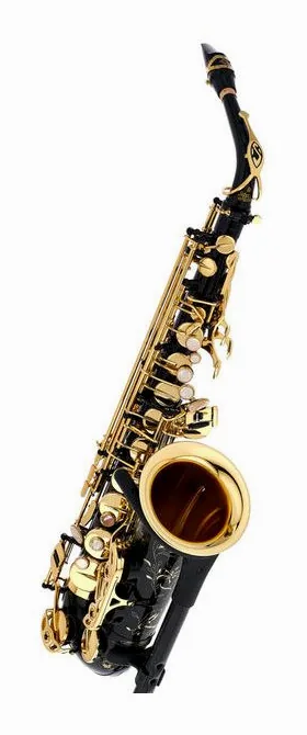 Selmer SE-A2B Black Alto Sax, vue 3