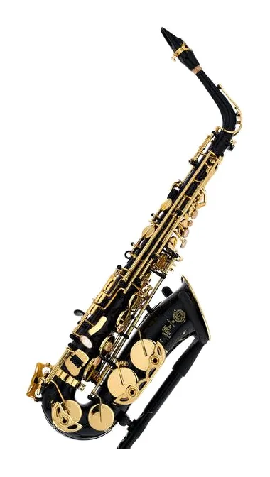 Selmer SE-A2B Black Alto Sax, vue 4