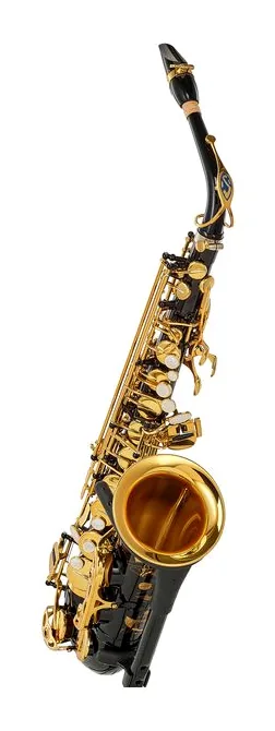Selmer Signature Alto Sax SE-ASIB, vue 3