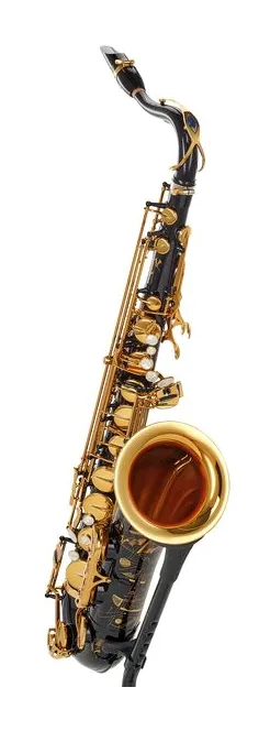 Selmer Signature Tenor Sax SE-TSIB, vue 3
