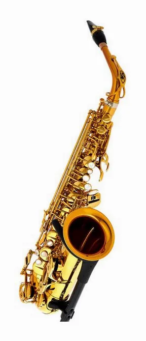 Selmer Supreme Alto Sax SE-ASUL, vue 3