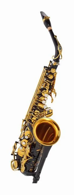 Selmer Supreme Alto Sax SE-ASUB, vue 3