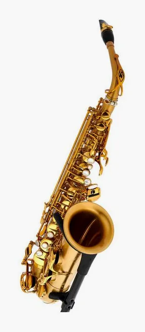 Selmer Supreme Alto Sax SE-ASUM, vue 3