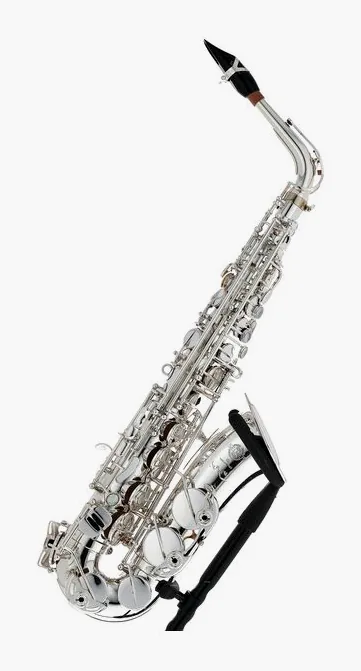 Selmer Supreme Alto Sax SE-ASUS, vue 4
