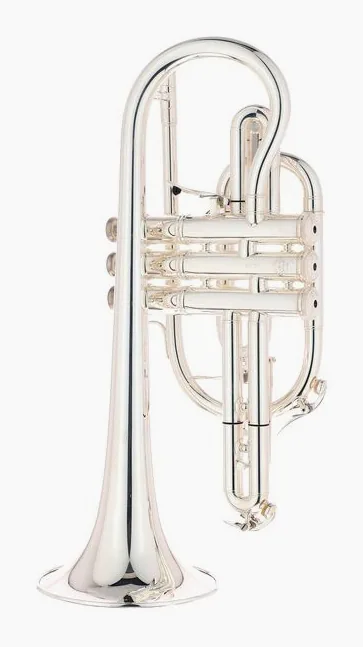 Smith-Watkins K2 Bb-Cornet, vue 3