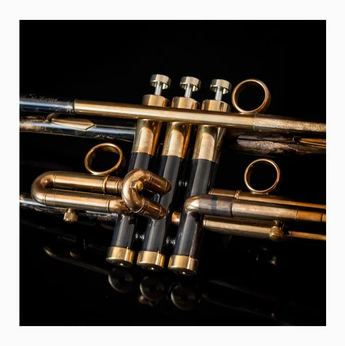 Taylor Trumpets Nemesis Bb-Trumpet, vue 2