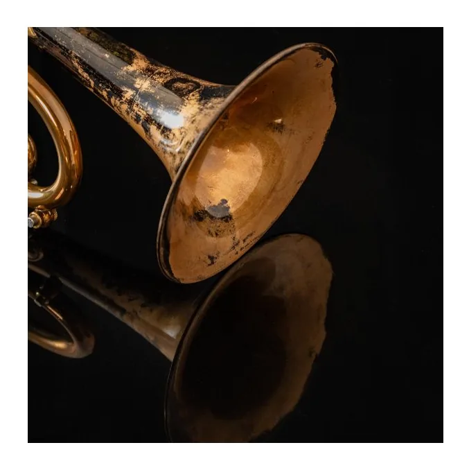 Taylor Trumpets Nemesis Bb-Trumpet, vue 3