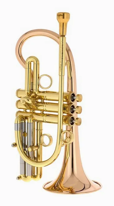 Taylor Trumpets Orpheus Bb-Cornet, vue 2