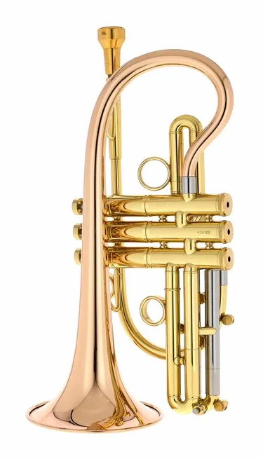 Taylor Trumpets Orpheus Bb-Cornet, vue 3