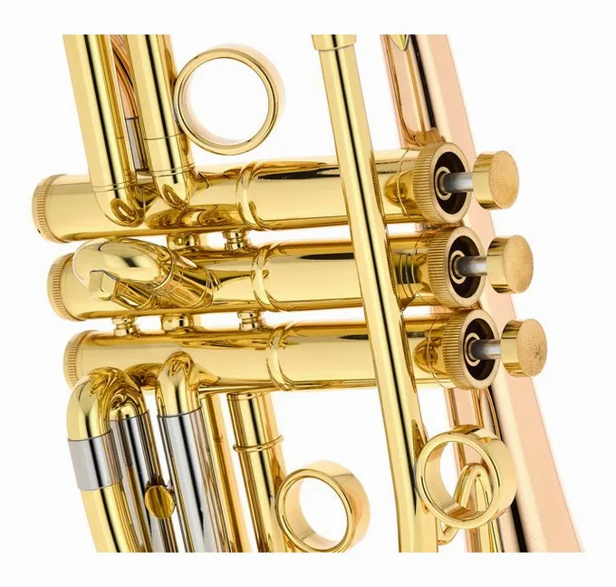 Taylor Trumpets Orpheus Bb-Cornet, vue 4