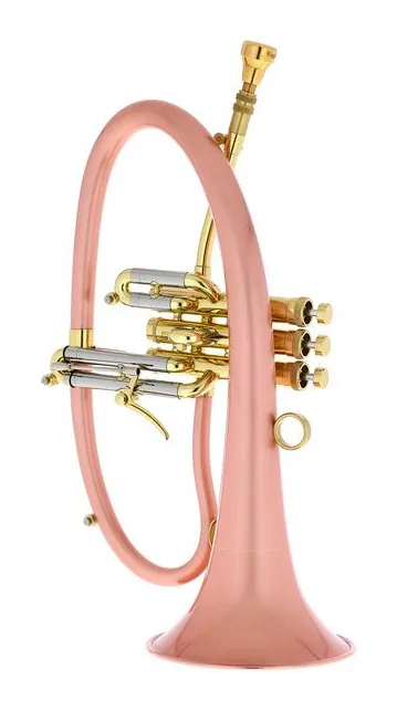 Taylor Trumpets Phat Boy, vue 2