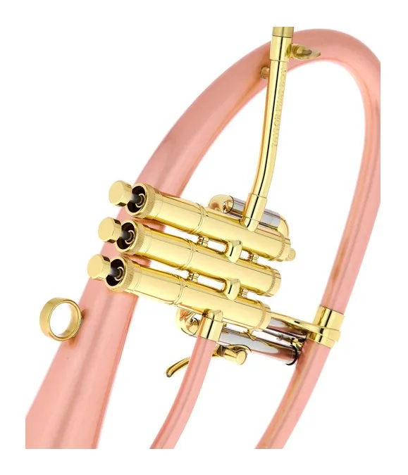 Taylor Trumpets Phat Boy, vue 4