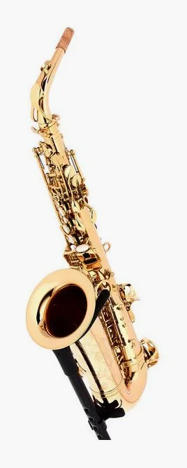 Thomann ASBGM Custom Line Alto Sax