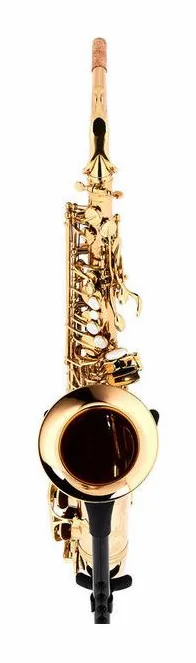 Thomann ASBGM Custom Line Alto Sax, vue 2