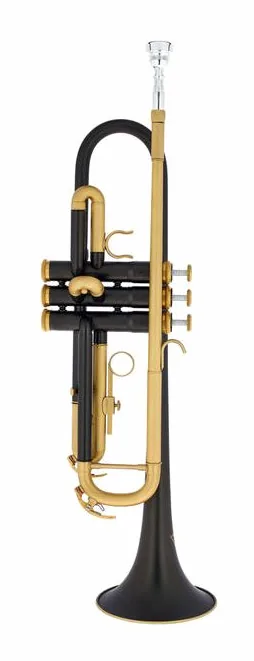 Thomann Blacky Trumpet Starter Set, vue 2