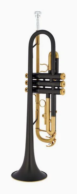 Thomann Blacky Trumpet Starter Set, vue 3