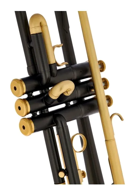 Thomann Blacky Trumpet Starter Set, vue 4