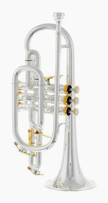 Thomann CR-960GP Superior Cornet, vue 2