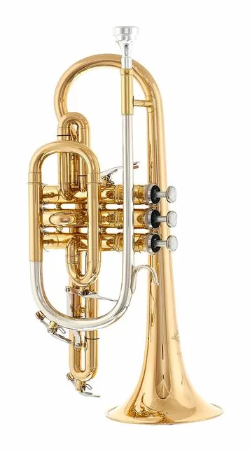 Thomann CR-960L Superior Cornet, vue 2