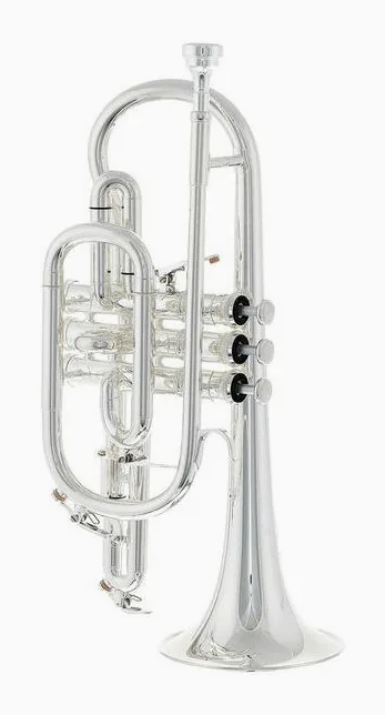 Thomann CR-960S Superior Cornet, vue 2